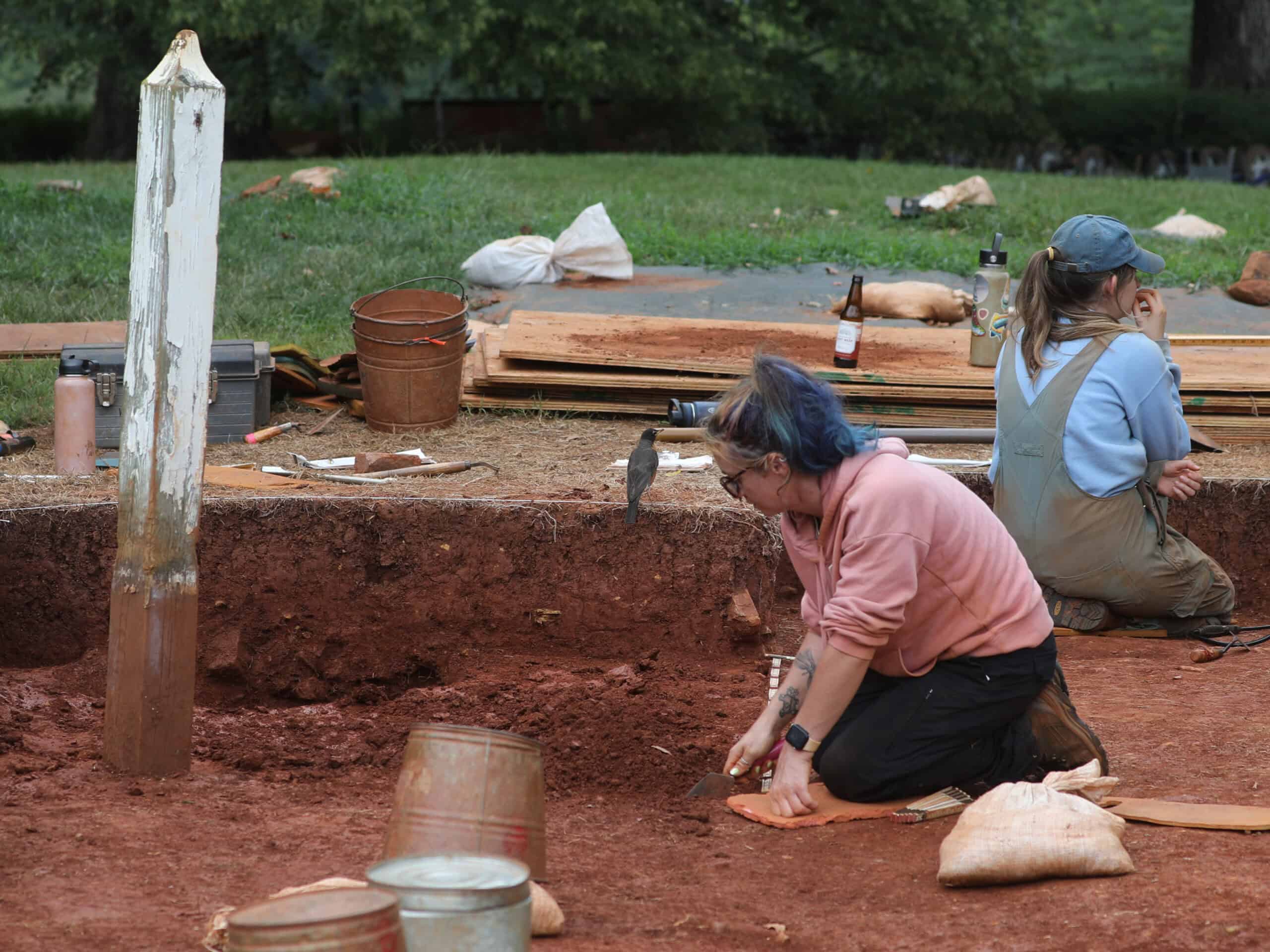 “Rob” the American Robin exploring an archaeological site in Virginia (August 2025) - Wild Bird Guide “Rob” the American Robin exploring an archaeological site in Virginia (August 2025)